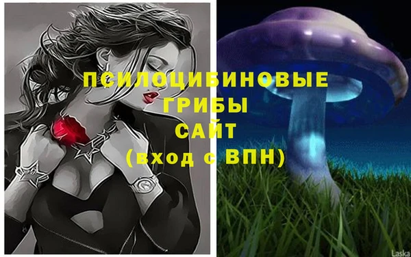 apvp Осинники