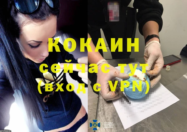 apvp Осинники