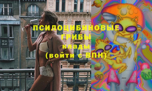 мет Пестово