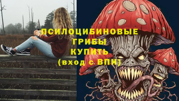 спайс Переславль-Залесский