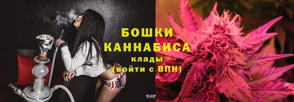 apvp Осинники