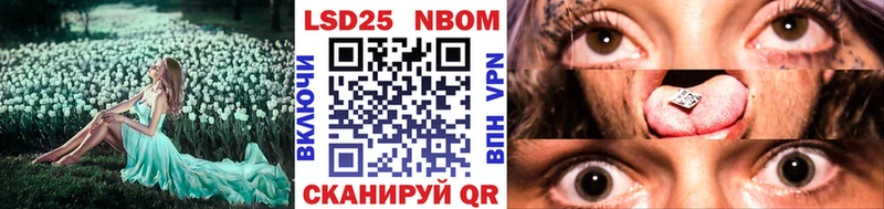 KRAKEN вход  Кяхта  Марки 25I-NBOMe 1,8мг 