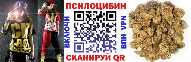 blacksprut онион  Кяхта  Галлюциногенные грибы Magic Shrooms 